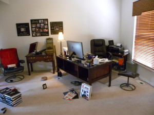 OFFICE BEFORE