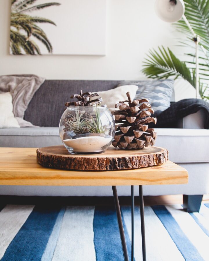 living room with pine cone accessory